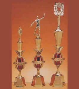 Linha Alfa - Troféu 530