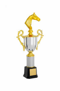 Troféu Tradicional Ref. 300163 - 61 cm