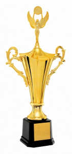 Troféu Tradicional Ref. 400832 - 65 cm