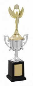 Troféu Tradicional Ref. 500151 - 34 cm