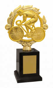Troféu Tradicional Ref. 600041 - 22 cm